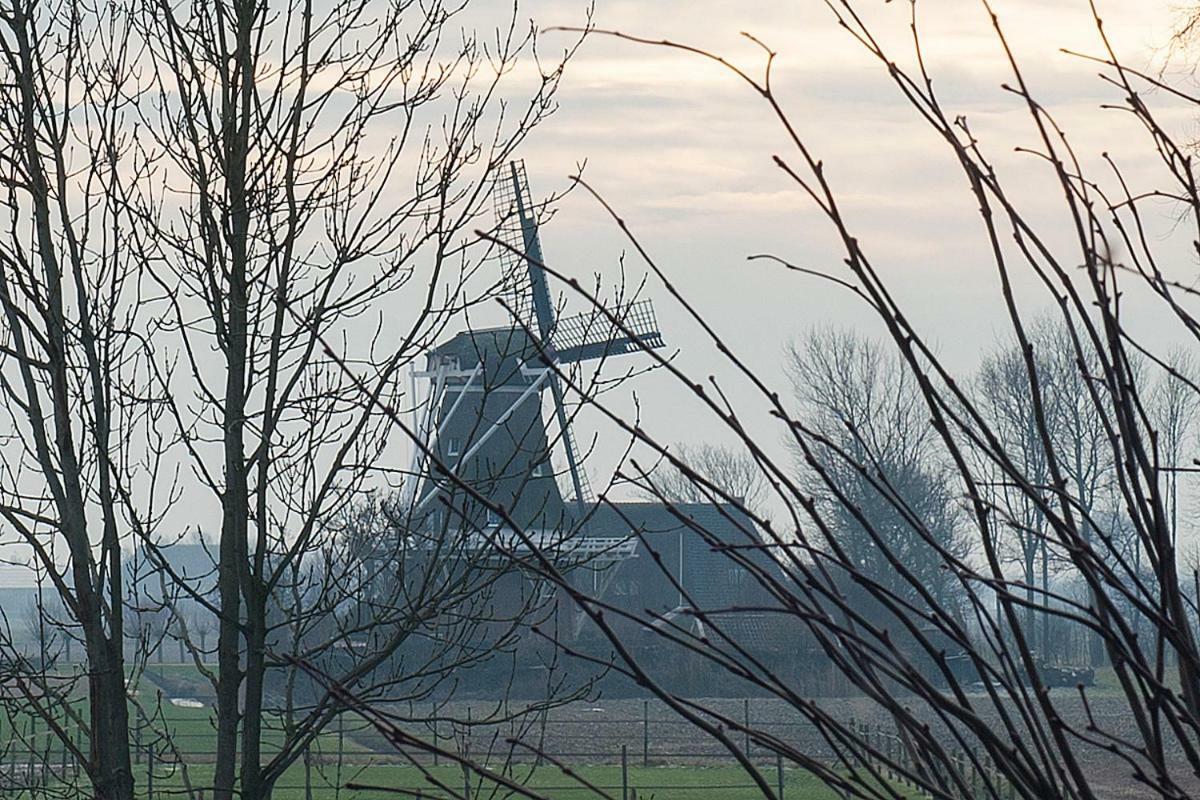 B&B Lauwersstate Paesens ภายนอก รูปภาพ